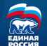 Общественники и эксперты озвучили предложения по поддержке инвалидов в народную программу ЕР - Сельская Жизнь