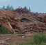 Под Судиславлем произошло возгорания отходов деревообработки - Судиславль Сегодня