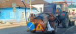 В Судиславле дорожные службы приступили к ямочному ремонту