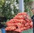 На сезонных ярмарках в области овощи продаются дешевле, чем в магазинах - Сельская Жизнь