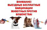 Уважаемые владельцы животных пгт Судиславль!